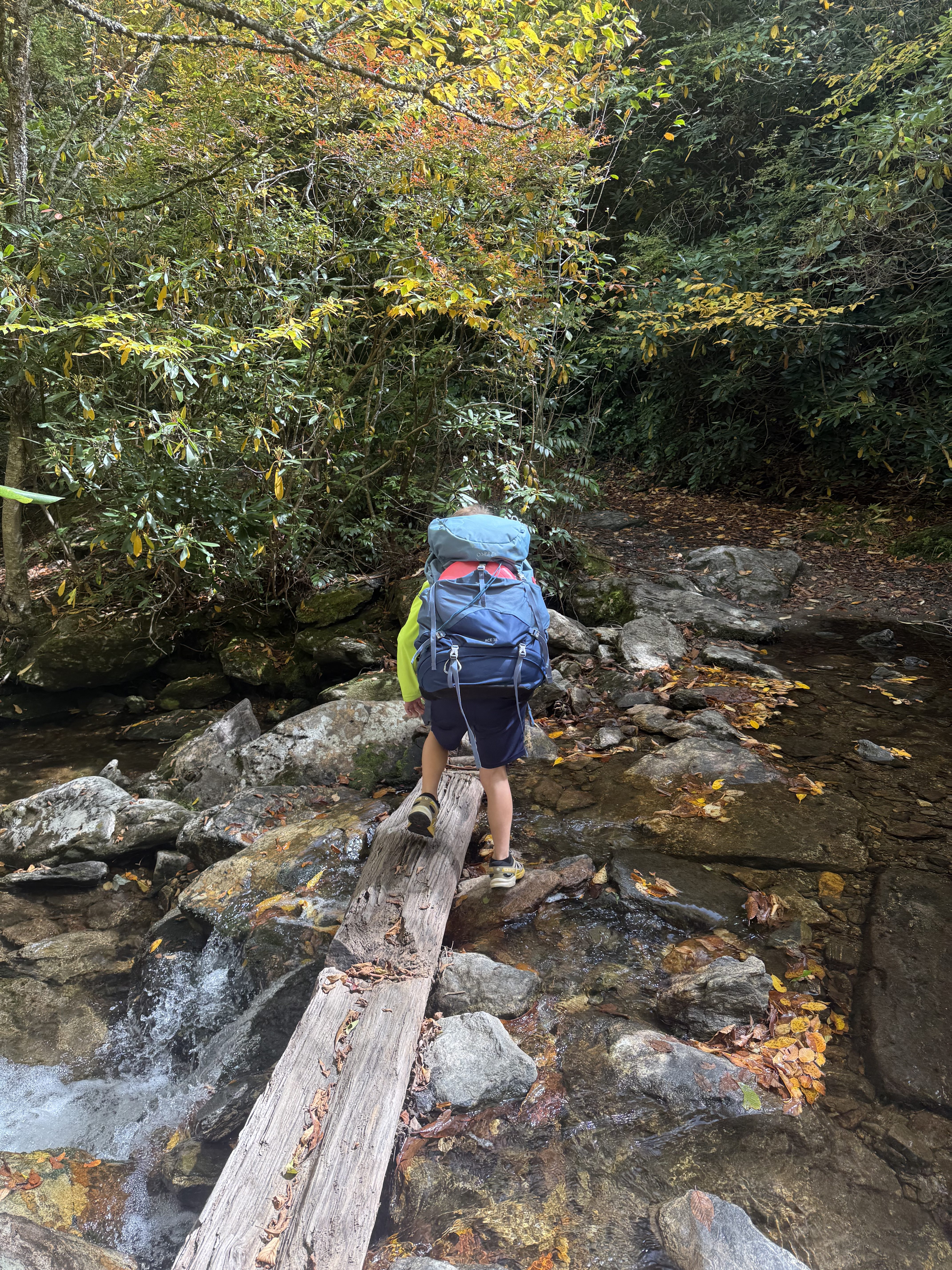 4 Tips to Make Backpacking With Kids Easier